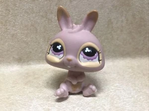 Littlest Pet Shop LPS #667 Hase Kaninchen rosa mit lila Augen gebraucht - Bild 1 von 5