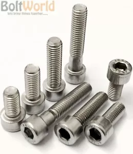 TORNILLOS TAPA ENCHUFE DE ACERO INOXIDABLE DE GRADO MARINO M6/6MM A4, PERNOS DE CABEZA DE LLAVE ALLEN - Imagen 1 de 2