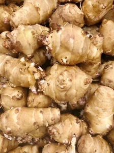 Jerusalem Artichokes-3 SproutingTubers for Planting, Tall Plant with Big Yields - Picture 1 of 4