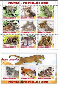 Stamp sheet+block Puma South Ossetia 2021 Wild Cats - Picture 1 of 1