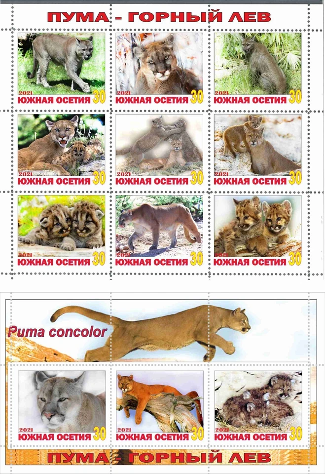 Stamp sheet+block Puma South Ossetia 2021 Wild Cats - Image 1 of 1