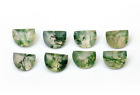Lot de 8 pièces d'agate de mousse naturelle 8 x 6 mm vert forme de D en forme de D pour hommes