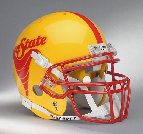 IOWA STATE CYCLONES NCAA Schutt XP Full Size REPLICA Gameday Football Helmet Cover