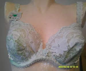 36B - New Lejaby Lingerie Lace Underwired (UnPadded) Bra Lime Green 36B (0633) - Picture 1 of 1