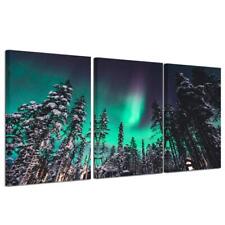 Northern Lights Canvas Print Norway Nature Green Aurora Borealis Poster Snow ...