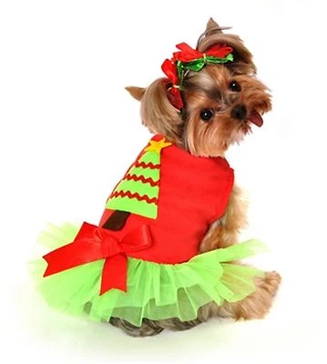 Disfraz de árbol de Navidad para perro de Anit Accessories~ Talla L Foto 1 de 2