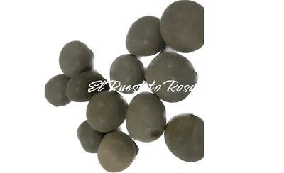 6 SEMILLAS QUITA MALDICION/ MATE GRIS/ MATO GRIS SANTERIA IFA YORUBA