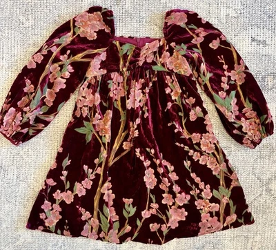Vestido Ivy City Co Joya Terciopelo Mini Joya Niñas Floral Talla 4/5 Foto 1 de 4