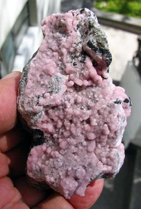 RHODOCHROSITE PINK CRYSTALS, PYRITES and BLACK SPHALERITE on MATRIX from PERU - Picture 1 of 12