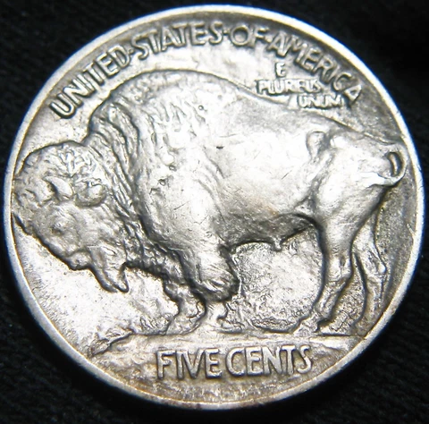 Sharp Original 1913-P MOUND Type Variety 1 BUFFALO NICKEL 5c FREE S&H! JP88SS Cover
