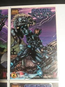 Stark Raven Ausgaben #1-4 Comic Book Lot Endless Horizons Comics 2000 NM (4 Bücher) - Bild 1 von 5