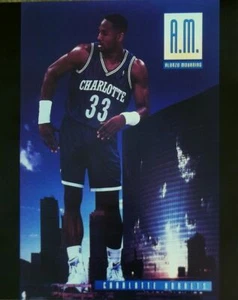 Neu altes Alonzo Trauer 1993 16x20 Poster Costacos Brüder. - Bild 1 von 3