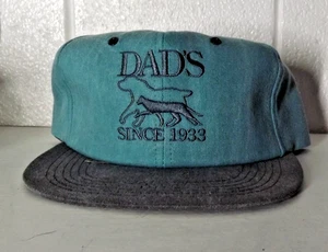 DAD'S DOGFOOD - VINTAGE SNAPBACK CAP - NOS - TEAL GREEN - UNISEX - Picture 1 of 3
