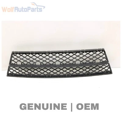 BMW 535I XDRIVE 2009-2010 - Parachoques delantero parrilla central (inferior) 7178115 Foto 1 de 4