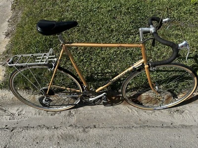 Bridgestone 58cm Spica vintage Touring bike Suntour Panaracer Shimano - Image 1 of 4