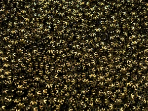 Cuentas de plástico 6 mm flores oro antiguo 200 piezas espaciadores hágalo usted mismo joyería  - Imagen 1 de 2