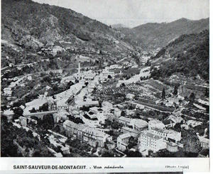 1968  --  SAINT SAUVEUR DE MONTAGUT   Y781 - Imagen 1 de 1