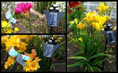 Outdoor Garden Solar Powered Flickering Monarch Dancing Butterfly/Dragonfly