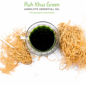 Wild Green Vetiver Absolute Essential Oil | Ruh Khus | Chrysopogon zizanioides |
