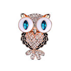 Fashion Delicate Owl Brooches Korean Alloy Rhinestone Animal Brooch Pins Jewe S-