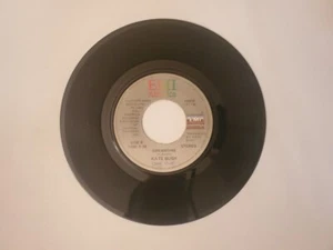 Kate Bush - Dreamtime / Ne T'enfuis Pas (Vinyl Record) - Picture 1 of 2