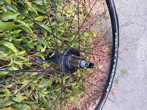 Campagnolo Neutron Ultra Alloy 9-12 speed WHEELSET  CARBON HUBS - Picture 1 of 4