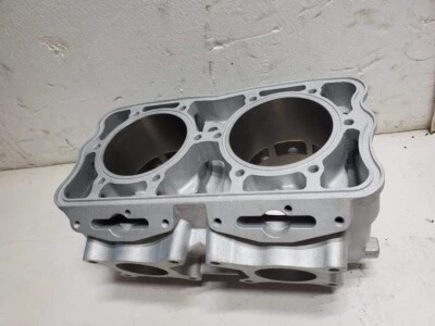 Polaris Rush RMK 2011 nuevo Reman 3022205 800 monocilindro 150 USD núcleo incluido Foto 1 de 4