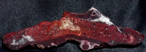 S06e ~ 1,4 Unzen dünne Platte Crazy Lace Achat ~ Mexiko - Bild 1 von 11