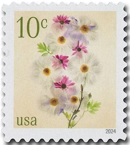 Full Sheet of 20 White Poppies and Purple Coneflowers Stamps: Flowers, Echinacea - Imagen 1 de 2