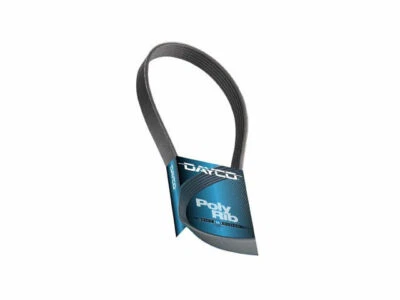 Correa de tracción principal Dayco 58746CB 2001 2002 2000 multi costilla para BMW 540i 1999-2003 Foto 1 de 2