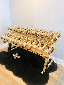 Dumbbell Weight Set Dipped In 24k Gold Functional Modern Art 🖼 Sculpture - Picture 1 of 12