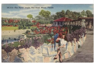 Postal de lino vintage Parrot Jungle, Red Road, Miami, Florida DC-312 - Imagen 1 de 2