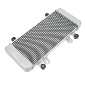_Motorcycle Radiator Cooler Cooling Water Tank Assembly Aluminum For 300 - Bild 1 von 23