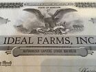 Unused Stock Certificate Ideal Farms Inc