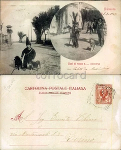 GENOVA PROVINCIA-ARENZANO-COSTUMI CANI-D13-1 - Picture 1 of 1