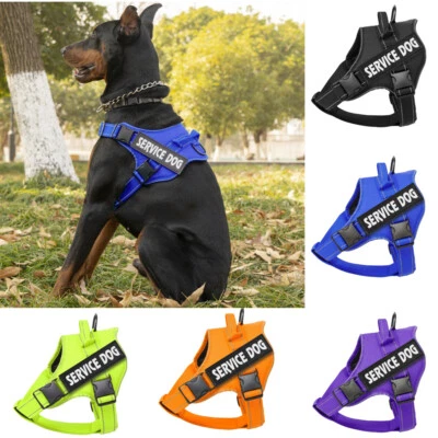 Therapy Dog Vest Harness Reflective Patches SERVICE DOG IN TRAINING EMOTIONAL. - image 1 of 4