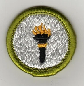 Public Health Merit Badge, Type G Cloth Back  (1961-71), Mint! - Picture 1 of 1