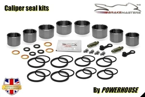 Kawasaki Ninja ZX-7 H2 1990 front brake caliper piston seal rebuild repair ZX750 - Picture 1 of 9