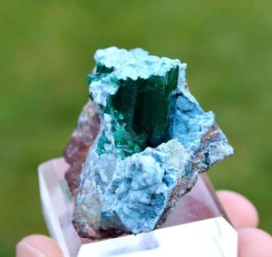 Dioptase & Plancheite 69 grams - Tantara Mine, Shinkolobwe, Kambove, Congo - Picture 1 of 10