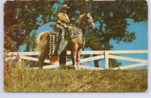 Clyde Carter, Northern Chief, World Champion Palomino, Vintage Chrome Postcard - Picture 1 of 2