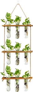Wall Hanging Propagation Station with Wooden Stand Glass Test Tubes Tiered Plant - Picture 1 of 12