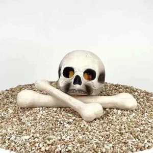 Ceramic Skulls Human Bones for Fire Pits - Picture 1 of 7