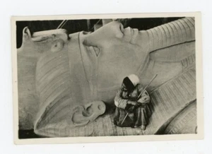 PHOTO, Egypt Memphis head of the statue of Rameses II - Picture 1 of 2
