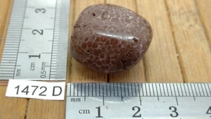 OOLITE d'Allemagne - pierre roulee naturelle de qualité - reiki lithotherapie - Picture 1 of 2