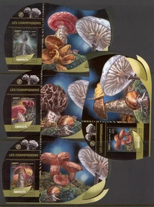 Djibouti 2016 - Fungi / Mushrooms on stamps - Timbres - MNH** SN. - Picture 1 of 1