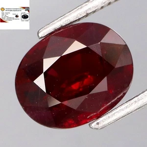 1.23Ct.FREE! Certificate Museum Gem Natural Top Red Normal Heated Ruby - Picture 1 of 6