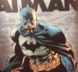 Original DC Batman (s05) Posterbrett Farbe 31""x31"" Promo authentisch neu mit Etikett - Bild 1 von 12