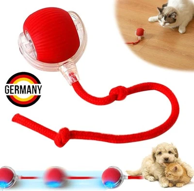 MARKENLOS Interaktives Katzenspielzeug Hundeball Elektrischer Ball Hunde USB Aufladbar DE