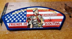  Milwaukee County Council WI CSP  SA-?? Friends of Scouting 2008 BSA - Picture 1 of 2