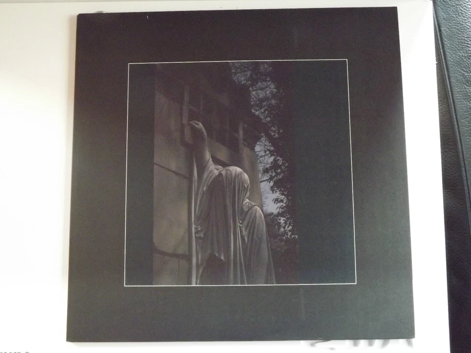 DEAD CAN DANCE "WITHIN THE REALM OF A DYING SUN"  VINILE LP  - Immagine 1 di 1